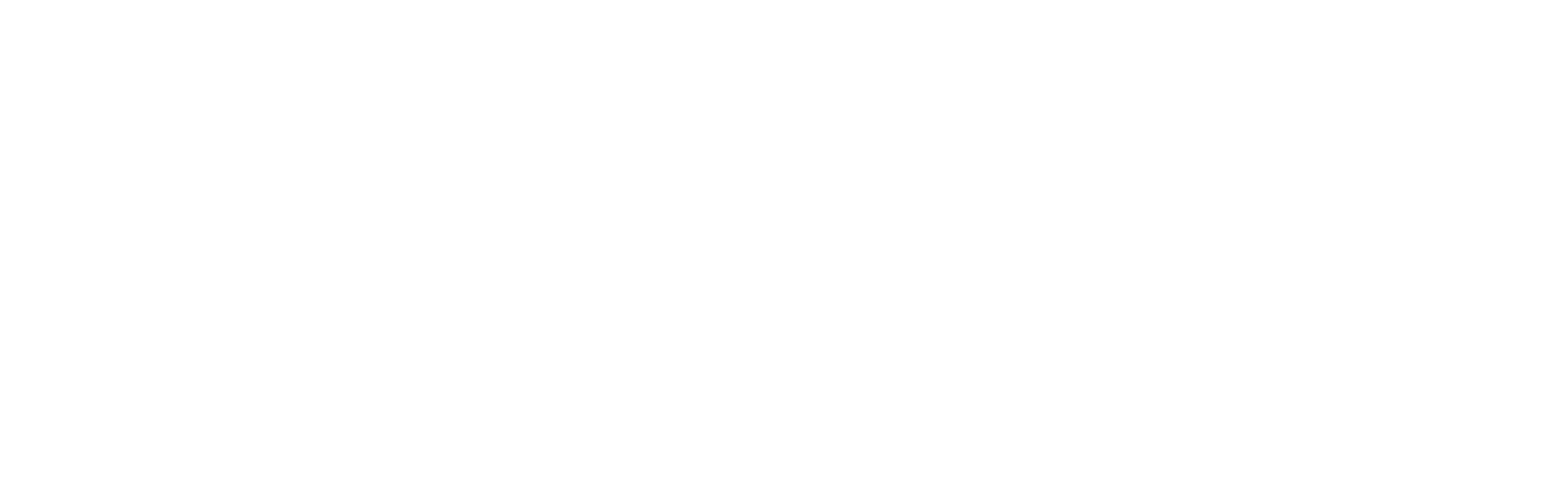 BİELSİS Yazılım ve Elektronik Teknolojileri Ltd. Şti.